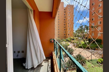 Vista da Sacada da Sala de apartamento para alugar com 3 quartos, 75m² em Chácara da Barra, Campinas