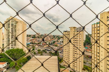 Apartamento à venda com 3 quartos, 75m² em Vila Santa Catarina, São Paulo