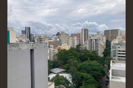 Apartamento para alugar com 26m², 1 quarto e sem vagaTerraço