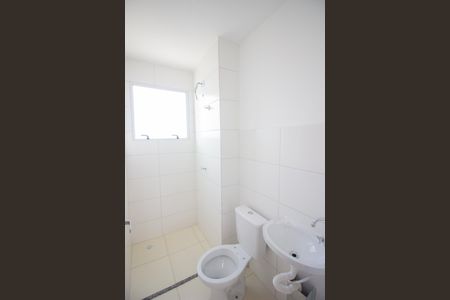 Banheiro Social de apartamento para alugar com 2 quartos, 45m² em Bom Jesus, Contagem