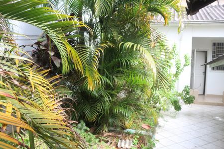 Casa à venda com 261m², 3 quartos e 4 vagasQuintal