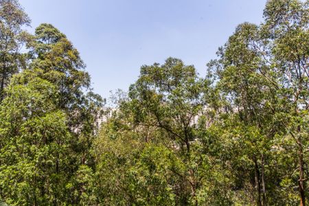 Apartamento à venda com 110m², 3 quartos e 2 vagasVista da Varanda