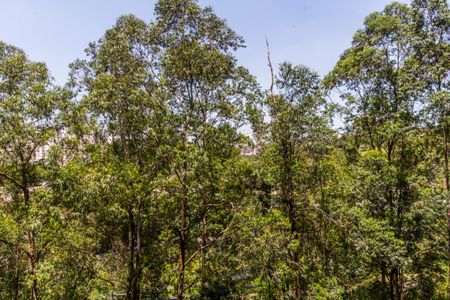 Apartamento à venda com 110m², 3 quartos e 2 vagasVista da Varanda