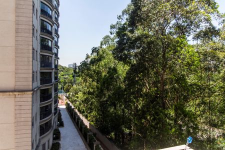 Apartamento à venda com 110m², 3 quartos e 2 vagasVista do Quarto 3