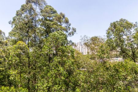 Apartamento à venda com 110m², 3 quartos e 2 vagasVista da Suíte