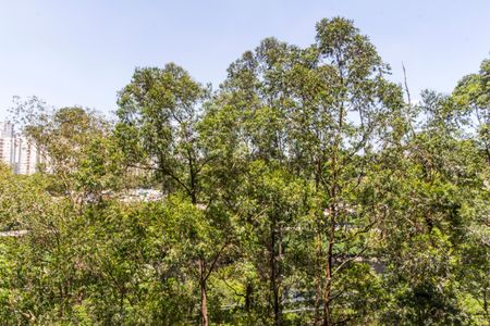 Apartamento à venda com 110m², 3 quartos e 2 vagasVista da Suíte