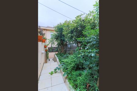 Casa para alugar com 150m², 3 quartos e sem vaga Casa para alugar com 150m², 3 quartos e sem vagaJardim