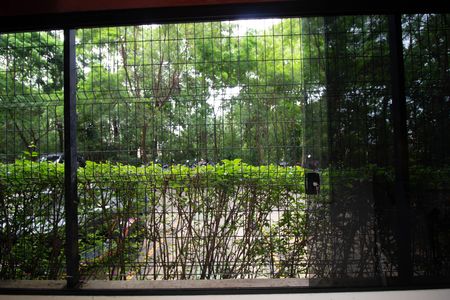 Apartamento para alugar com 73m², 3 quartos e 1 vaga Apartamento para alugar com 73m², 3 quartos e 1 vagaVista do Quarto 2