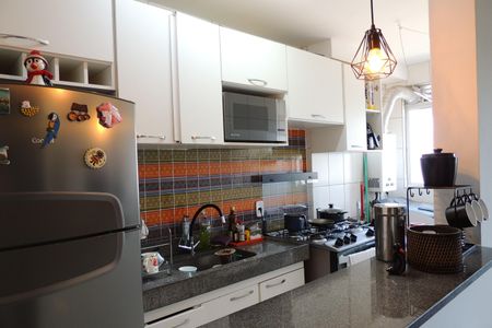 Apartamento à venda com 49m², 2 quartos e 1 vagaCozinha - Armários