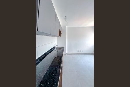 Studio para alugar com 30m², 1 quarto e sem vagaCozinha