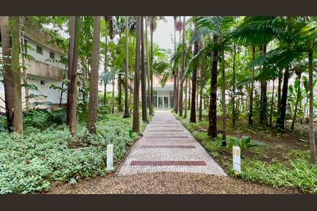 Apartamento à venda com 149m², 3 quartos e 2 vagasBosque