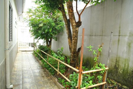 Casa à venda com 120m², 2 quartos e 2 vagasQuintal casa 1 