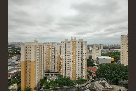 Apartamento à venda com 282m², 3 quartos e 1 vagaVista da Suíte