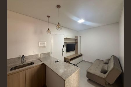 Sala/Cozinha de apartamento para alugar com 1 quarto, 33m² em Paquetá, Belo Horizonte