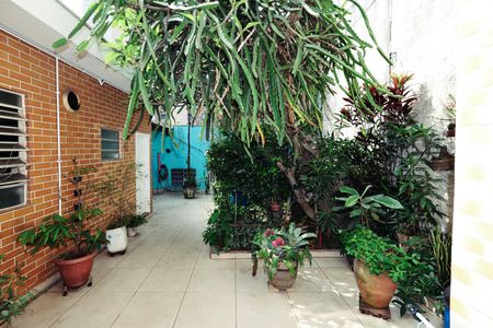 Casa à venda com 200m², 3 quartos e 2 vagasQuintal