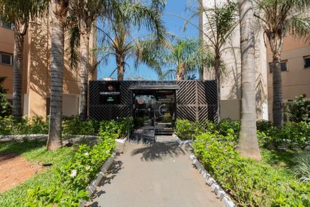 Apartamento para alugar com 53m², 2 quartos e 1 vaga Apartamento para alugar com 53m², 2 quartos e 1 vagaÁrea comum - Mini Mercado