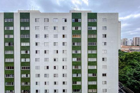 Apartamento para alugar com 206m², 4 quartos e 1 vaga Apartamento para alugar com 206m², 4 quartos e 1 vagavista do Quarto 3