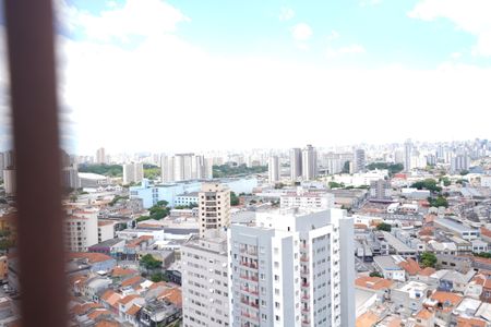 Apartamento para alugar com 214m², 5 quartos e 3 vagasSacada