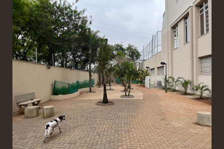 Apartamento à venda com 63m², 2 quartos e 1 vagaÁrea comum - Pet