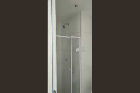 Banheiro de apartamento para alugar com 2 quartos, 50m² em Santo Cristo, Rio de Janeiro