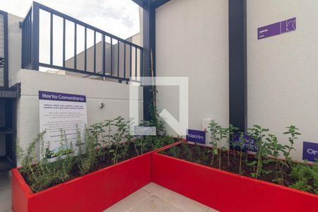 Apartamento para alugar com 37m², 1 quarto e sem vaga