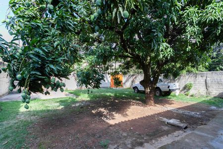 Casa para alugar com 155m², 3 quartos e 8 vagasQuintal
