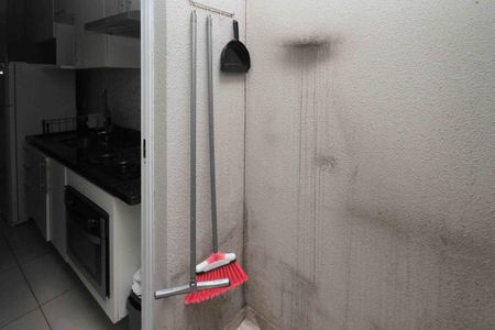 Apartamento para alugar com 36m², 1 quarto e sem vagaQuintal