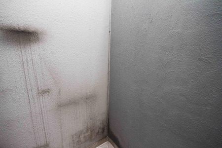 Apartamento para alugar com 36m², 1 quarto e sem vagaQuintal