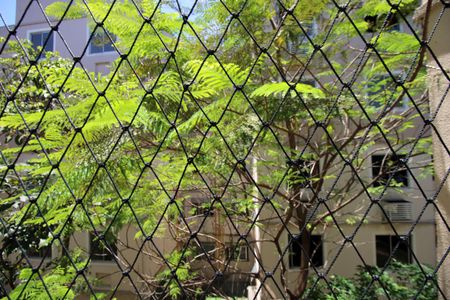 Vista da Sala de apartamento para alugar com 2 quartos, 45m² em Pavuna, Rio de Janeiro