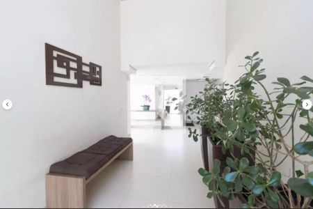 Apartamento para alugar com 1 quarto, 55m² em Vila Romana, São Paulo