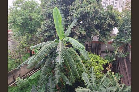 Casa à venda com 350m², 3 quartos e 8 vagasFoto 22