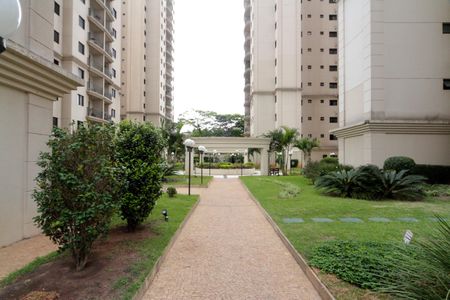 Apartamento para alugar com 81m², 3 quartos e 2 vagas Apartamento para alugar com 81m², 3 quartos e 2 vagasÁrea comum