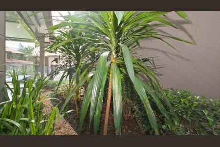 Apartamento à venda com 260m², 3 quartos e 3 vagas