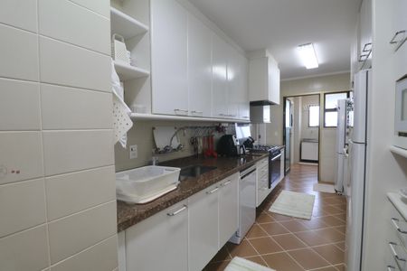 Apartamento para alugar com 224m², 4 quartos e 2 vagasCozinha