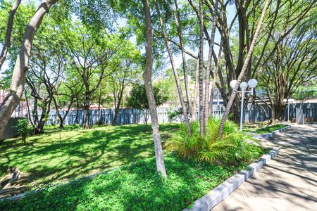 Apartamento para alugar com 60m², 2 quartos e 1 vagaBosque