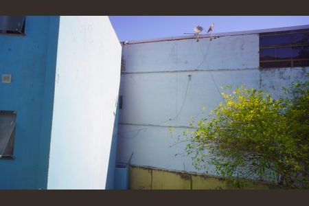 Apartamento à venda com 79m², 3 quartos e sem vagaVista 