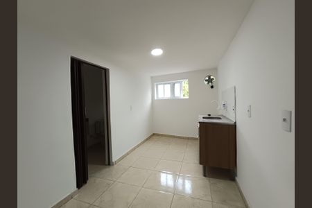 Sala/Cozinha de kitnet/studio para alugar com 1 quarto, 55m² em Parque Imperial, São Paulo
