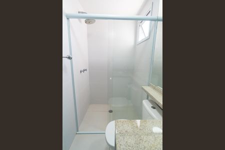 Apartamento para alugar com 65m², 2 quartos e 2 vagas Apartamento para alugar com 65m², 2 quartos e 2 vagasBanheiro da Suíte Detalhe