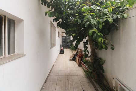 Casa à venda com 240m², 4 quartos e 3 vagasQuintal 