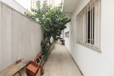 Casa à venda com 240m², 4 quartos e 3 vagasQuintal 