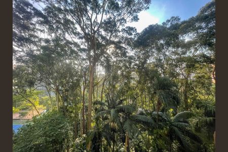 Apartamento à venda com 202m², 4 quartos e 3 vagasFoto 39