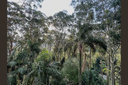 Apartamento à venda com 202m², 4 quartos e 3 vagasFoto 17