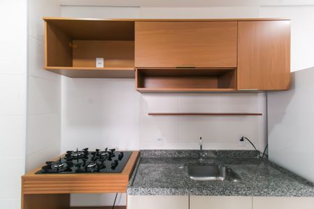 Apartamento para alugar com 34m², 2 quartos e sem vagaCozinha
