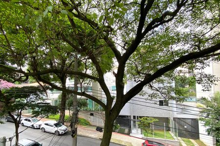 Vista do Quarto 1 de apartamento à venda com 2 quartos, 70m² em Santo Antônio, Belo Horizonte