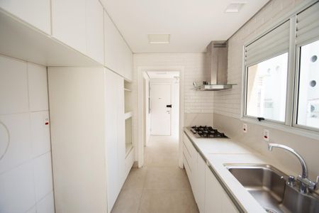 Apartamento para alugar com 242m², 3 quartos e 4 vagascozinha