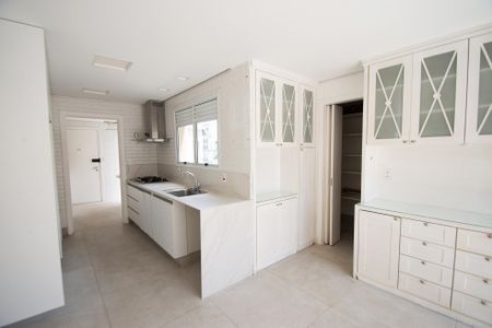 Apartamento para alugar com 242m², 3 quartos e 4 vagascozinha