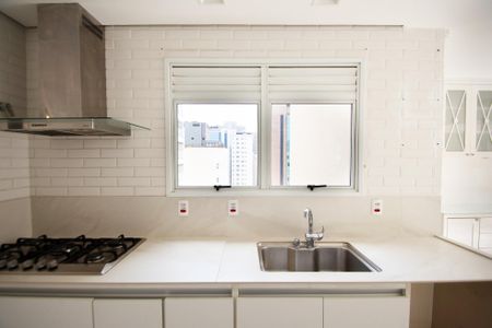 Apartamento para alugar com 242m², 3 quartos e 4 vagascozinha