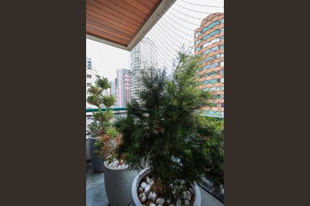 Apartamento à venda com 230m², 4 quartos e 3 vagas Apartamento à venda com 230m², 4 quartos e 3 vagasSacada da sala de jantar