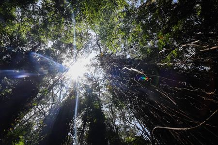 Apartamento para alugar com 245m², 4 quartos e 2 vagasÁrea comum