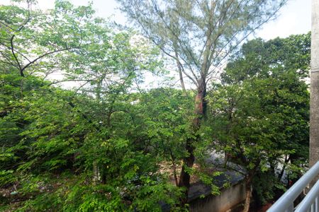 Vista da Varanda da Sala de apartamento para alugar com 3 quartos, 55m² em Campo Grande, Rio de Janeiro